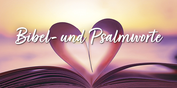 Kategorie-Banner