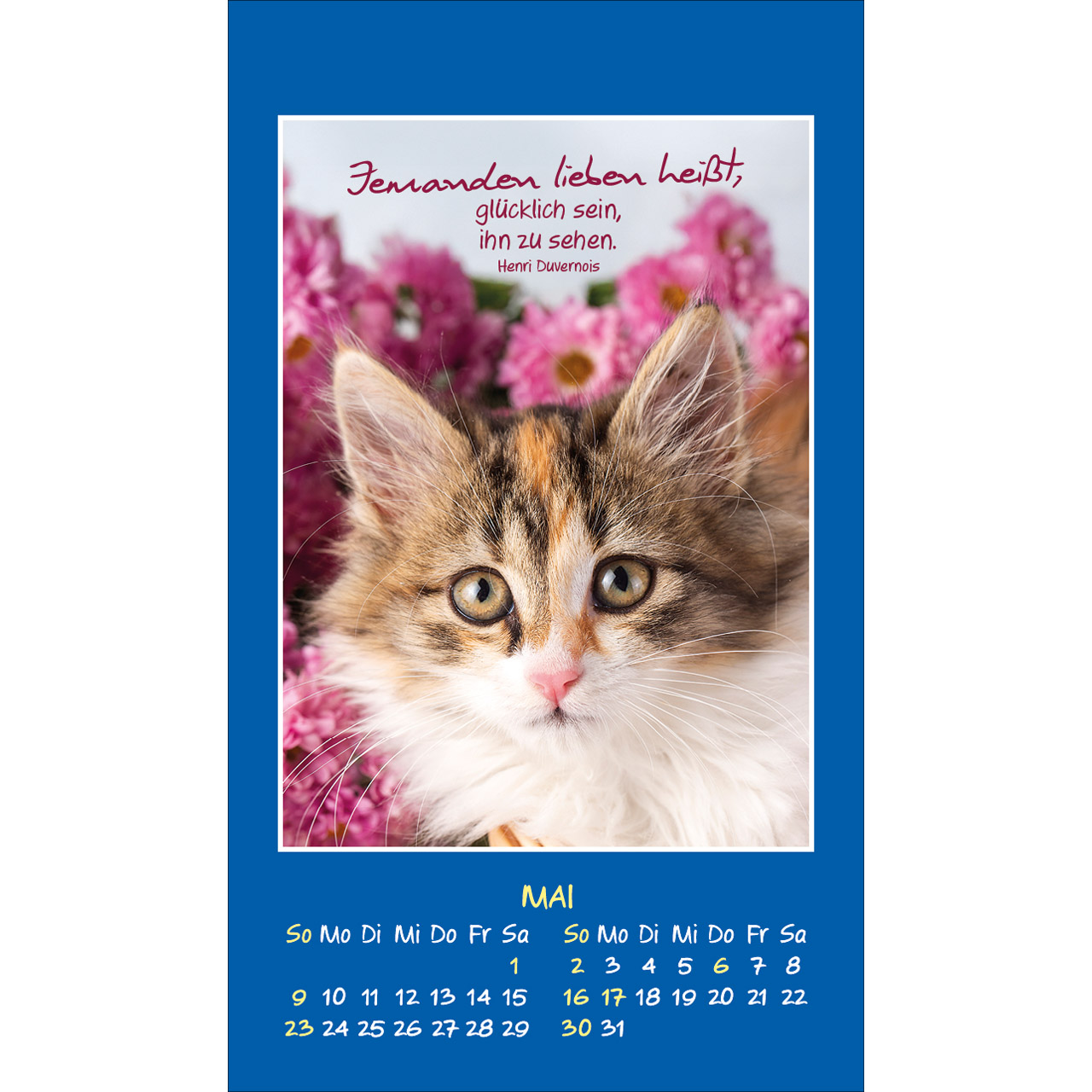 Aufkleberkalender - Mini Katzen-Tatzen 2027 - Katzen