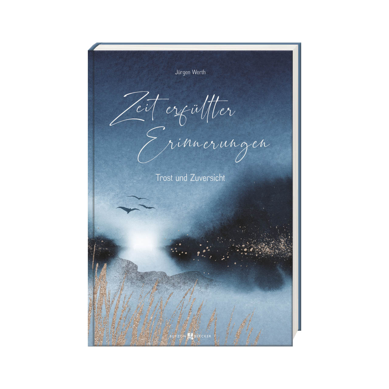 Buch - Zeit erfüllter Erinnerungen - Vögel Gräser Muster