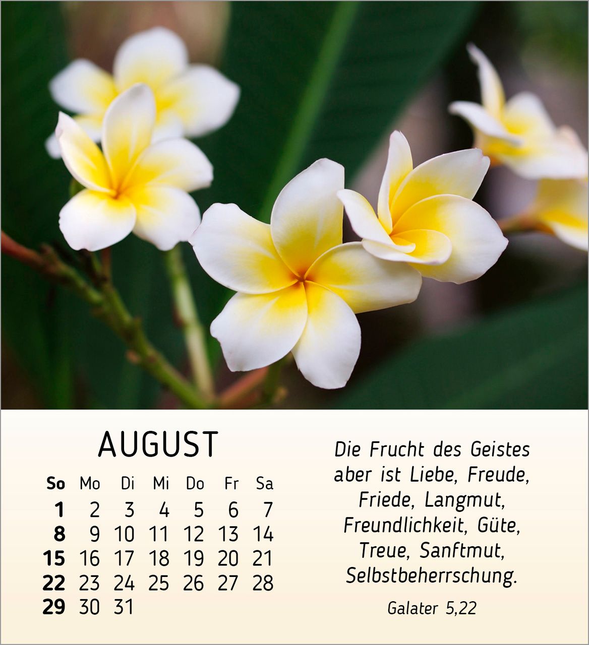Tischkalender - Ich wünsch dir Freude 2027
