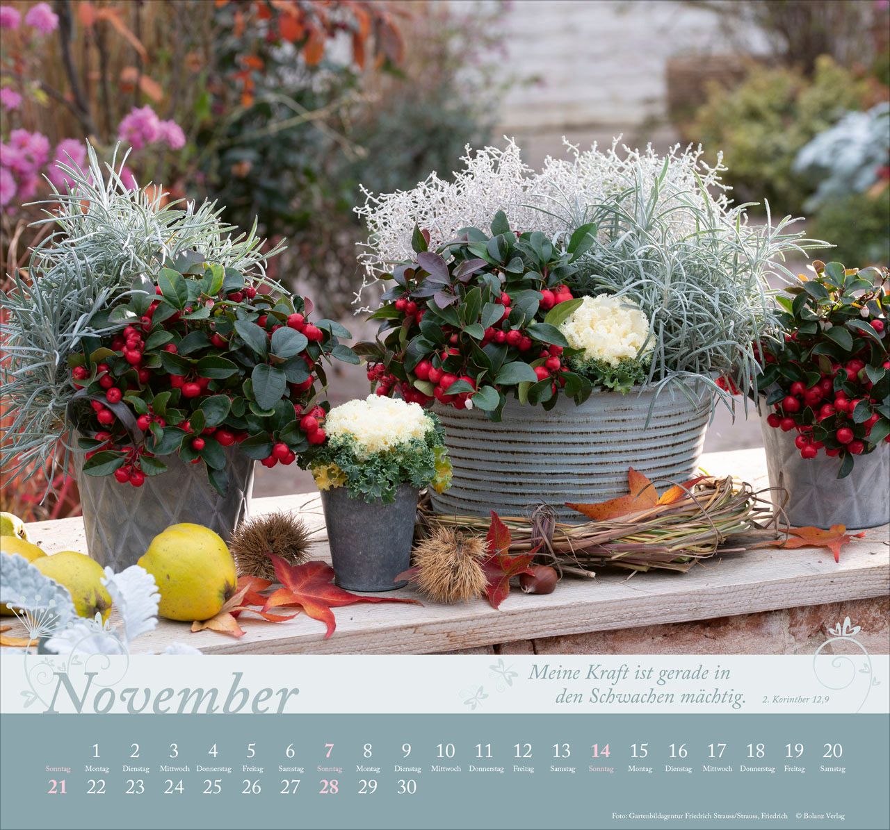 Wandkalender - Im Garten zuhause 2027 Wandkalender