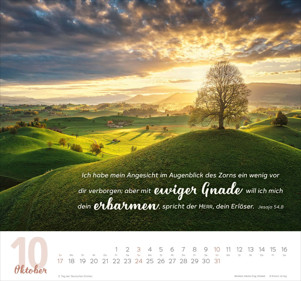Wandkalender - Meine Zeit 2027 Wandkalender