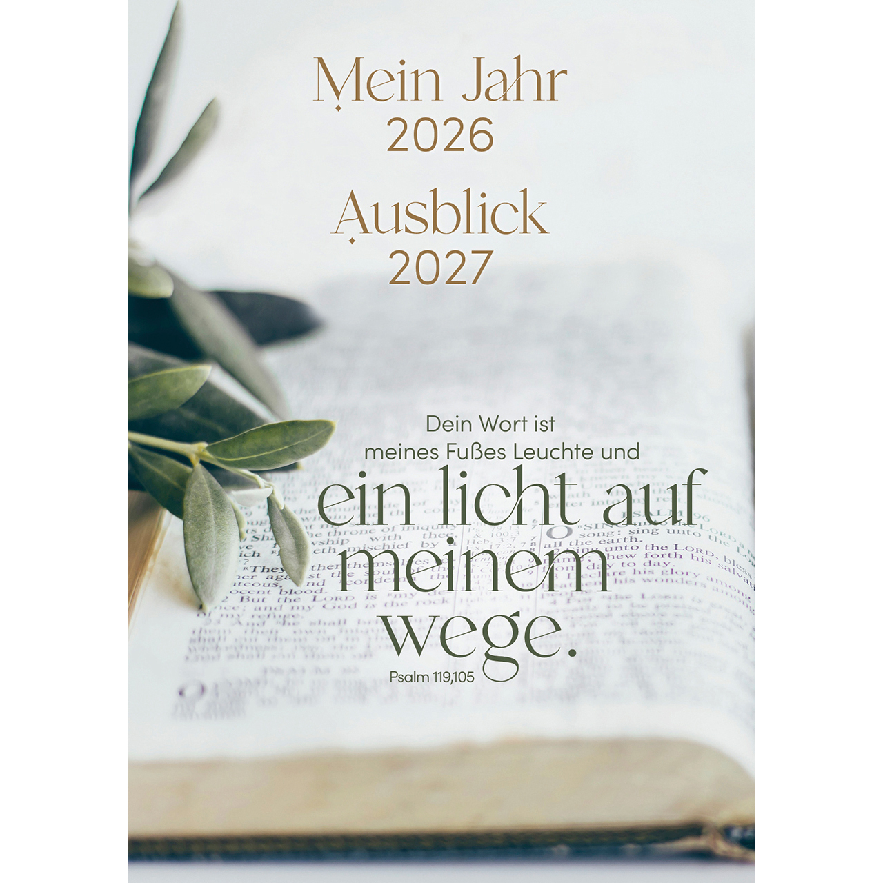 Postkarten - Mein Jahr 2026 - Buch Bibel Zweige
