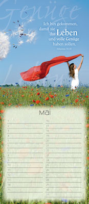 Immerwährender Kalender - Begegnungen auf seinem Weg - Frau Tuch Mohnblumen Pusteblume