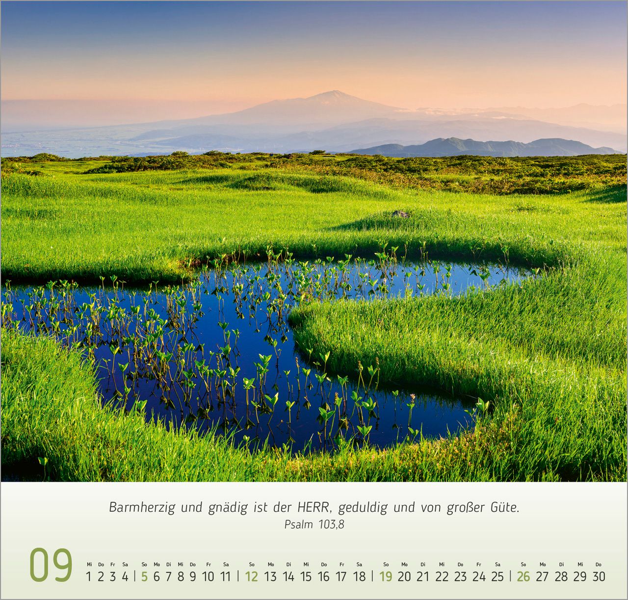 Wandkalender - Licht-Impressionen 2027 Wandkalender