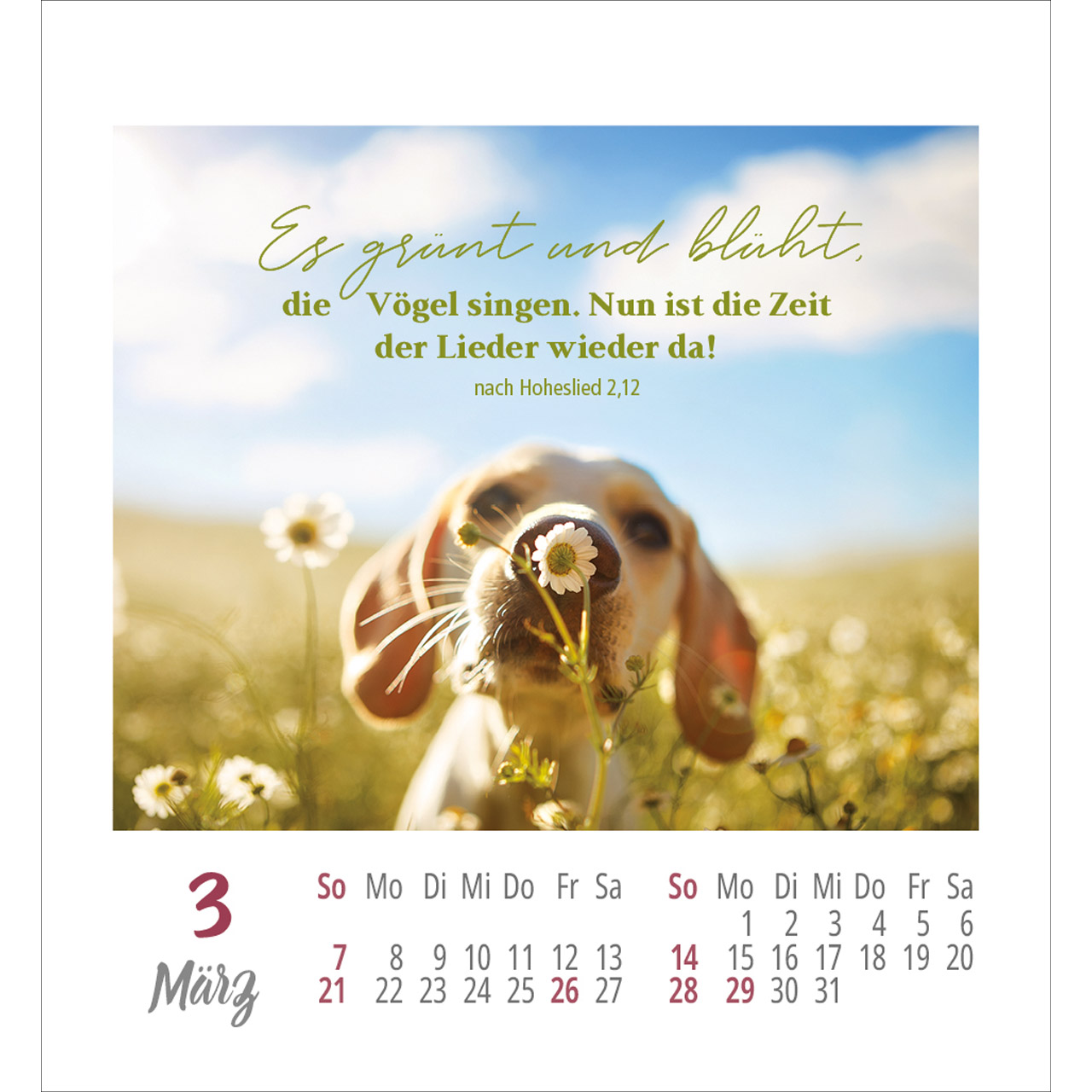 Aufkleberkalender - Frei sein & leben 2027