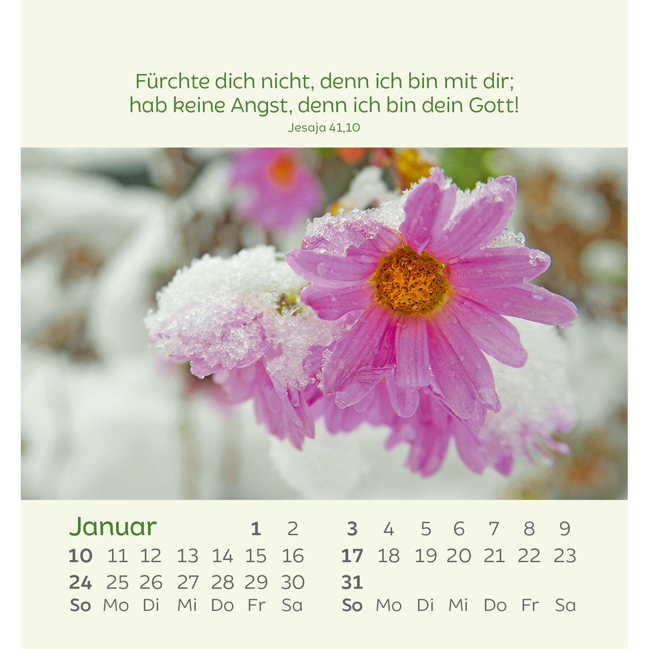 Aufstellkalender - Kleine Blumengrüße 2027