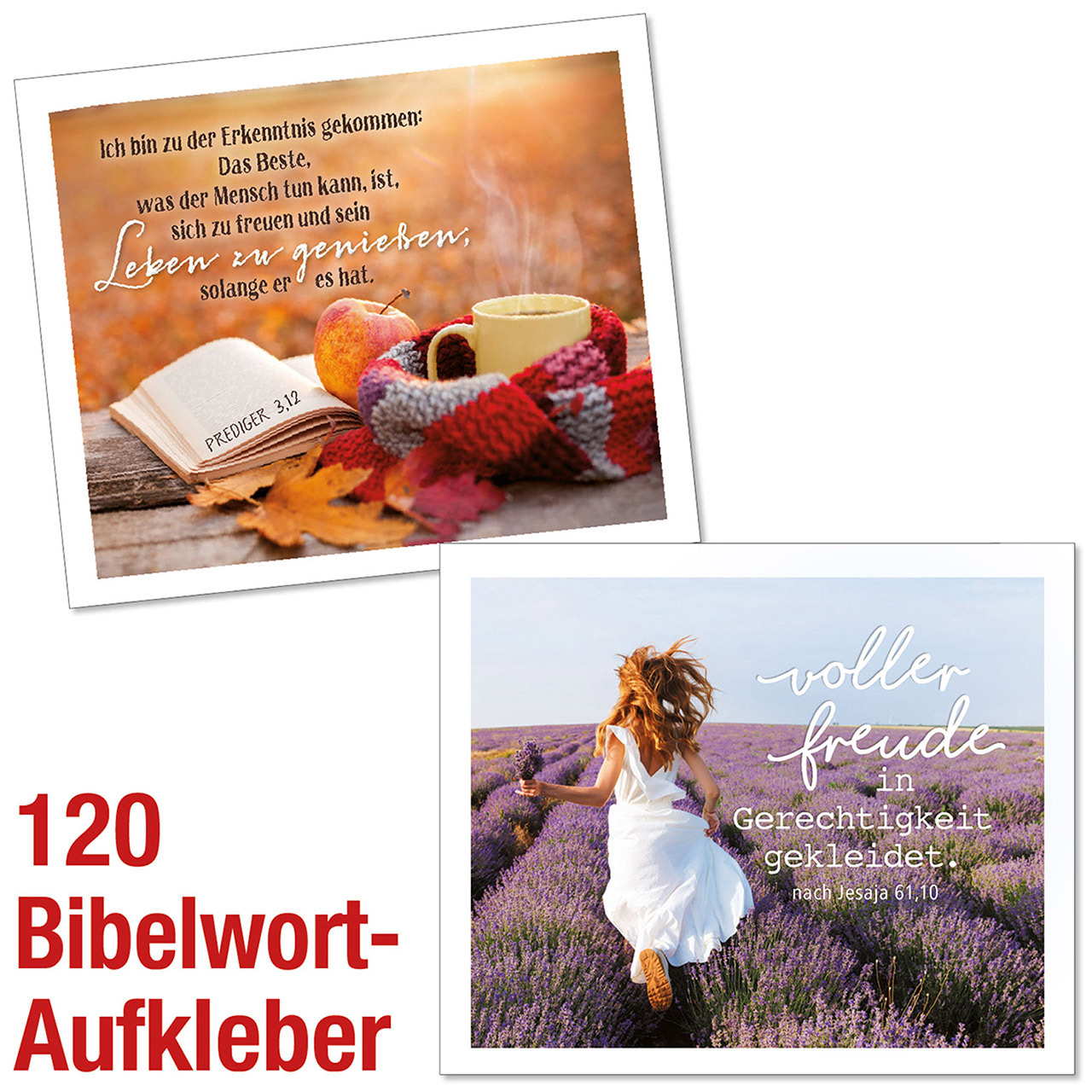 Aufkleber-Paket - Spar-Paket: Bibelwort Aufkleber