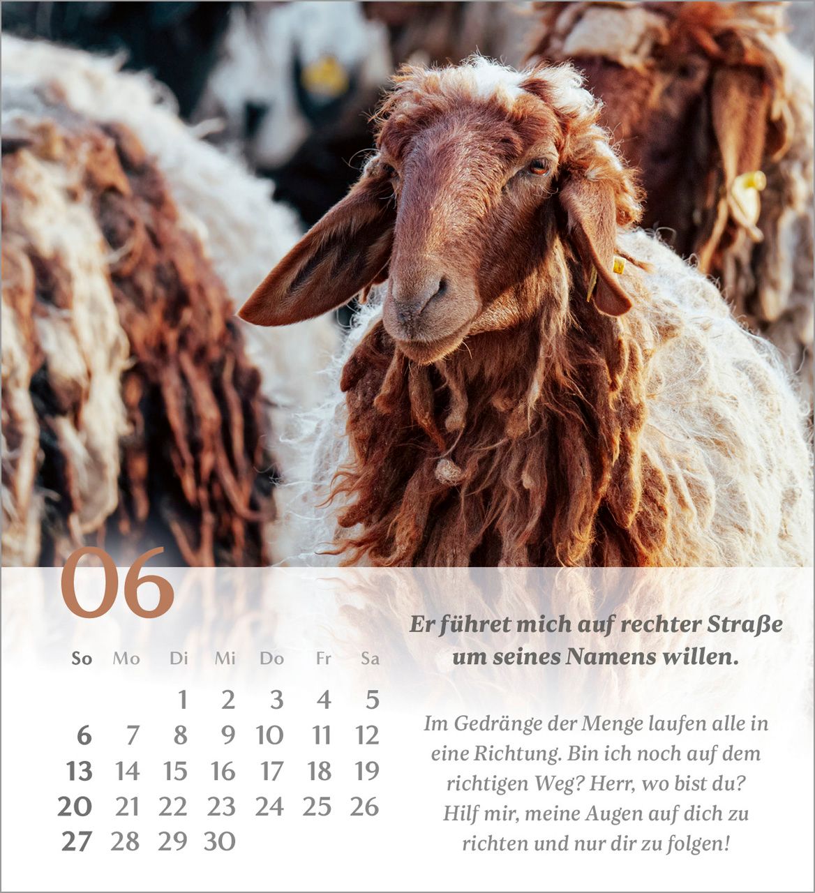 Tischkalender - Psalm 23 2027