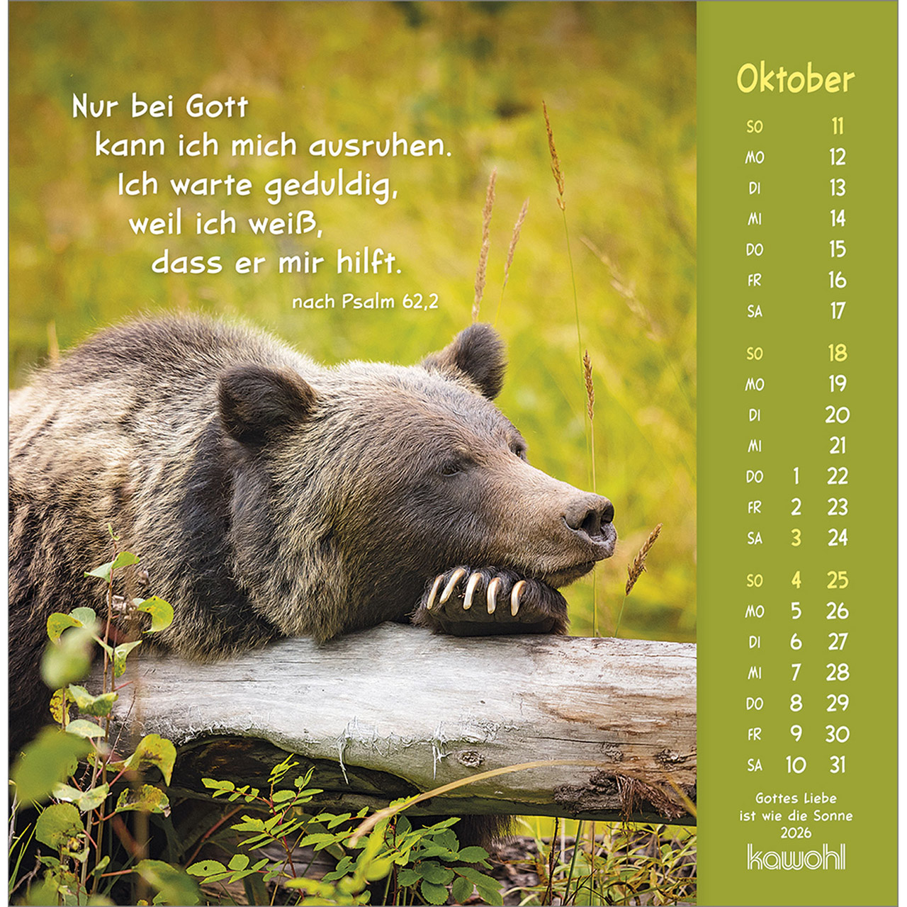 Postkartenkalender - Gottes Liebe ist wie die Sonne 2026 - Hase Kaninchen weiß