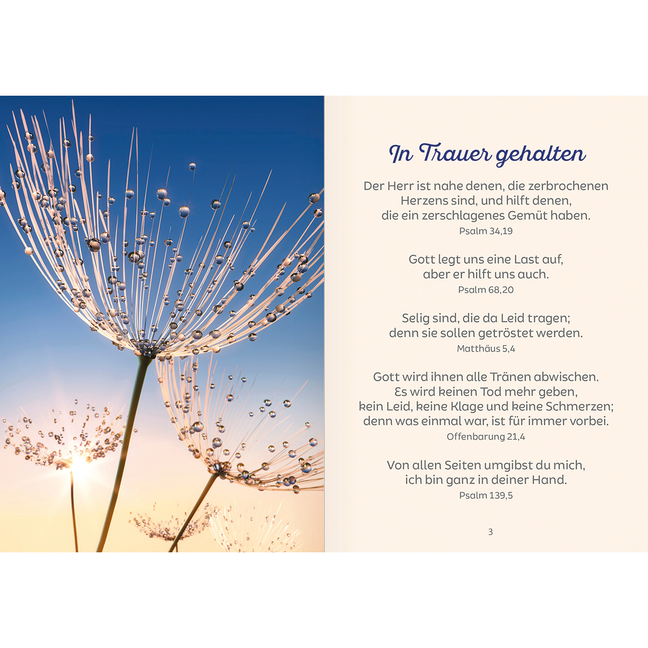 Grußheft - Du bist mein Trost - Seerose