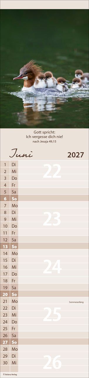 Terminkalender - Für Euch 2027 Streifenterminkalender