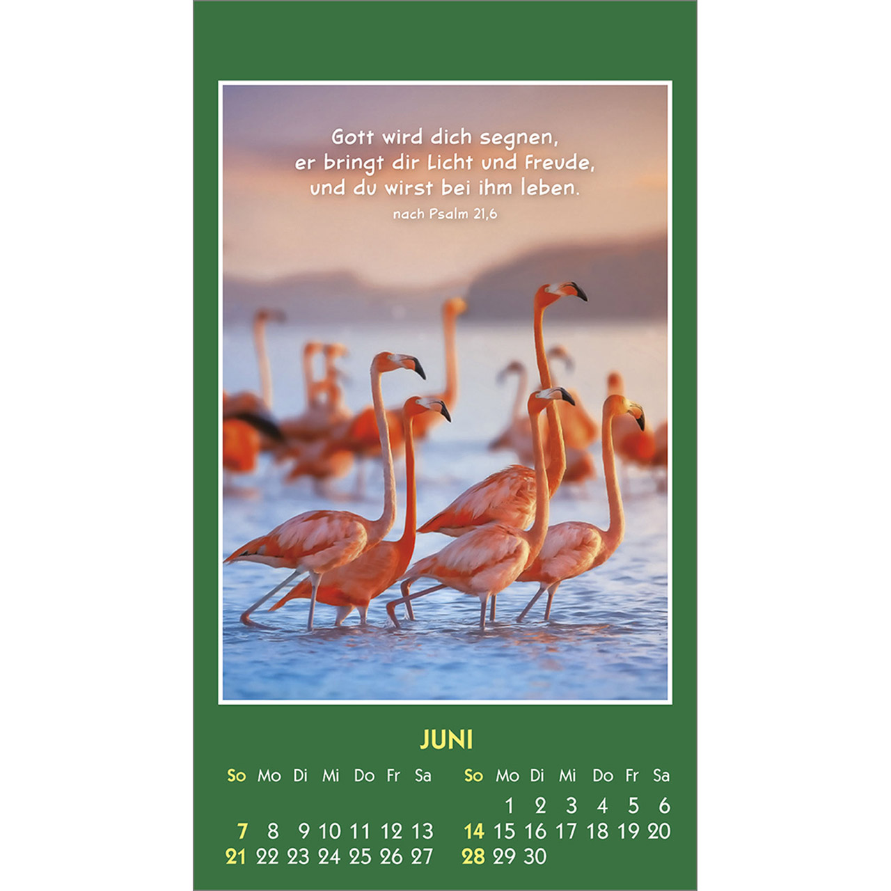 Aufkleberkalender - Hallo Du 2026 - Kaninchen Hase