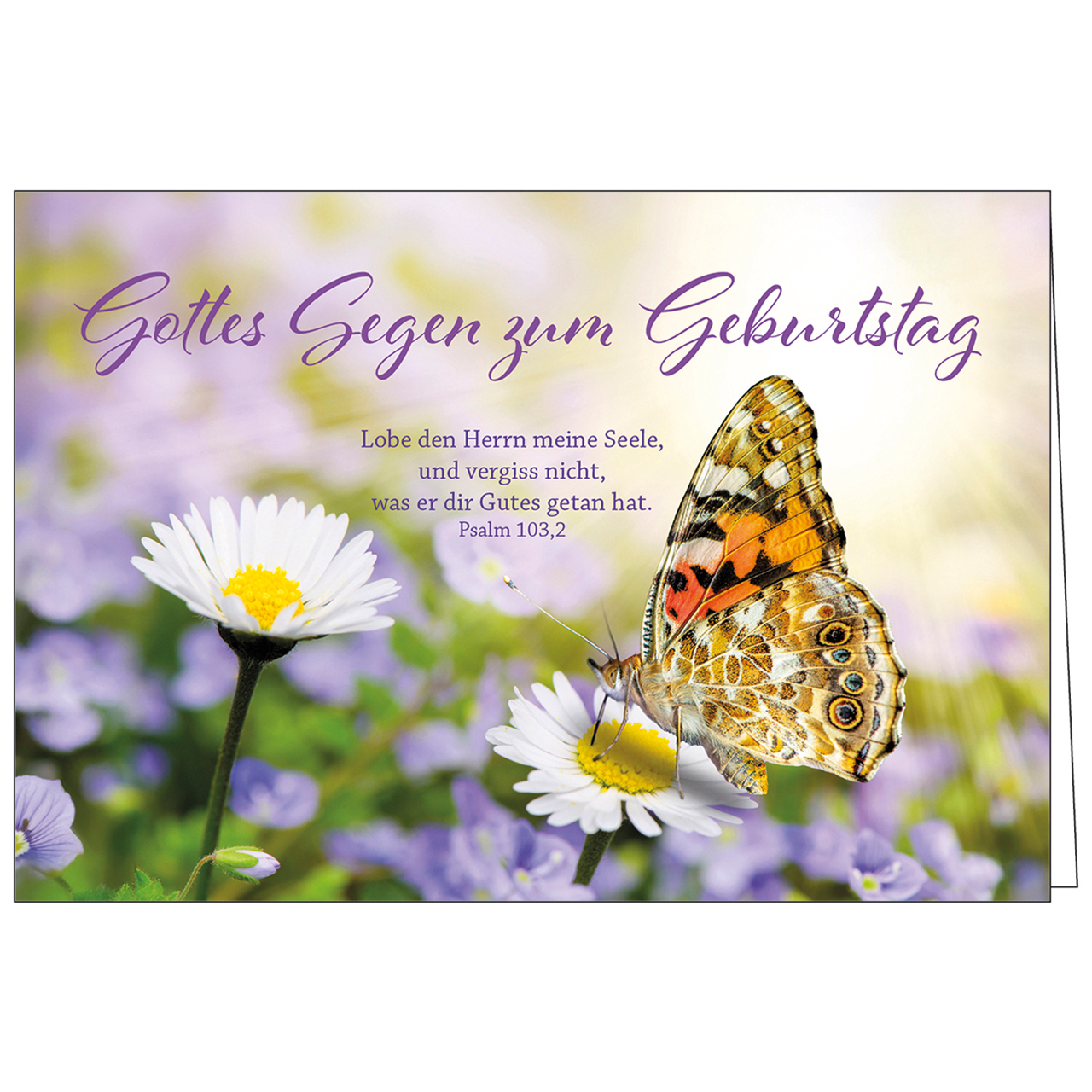 Faltkarte - Gottes Segen zum Geburtstag - Schmetterling auf Gänseblümchen
