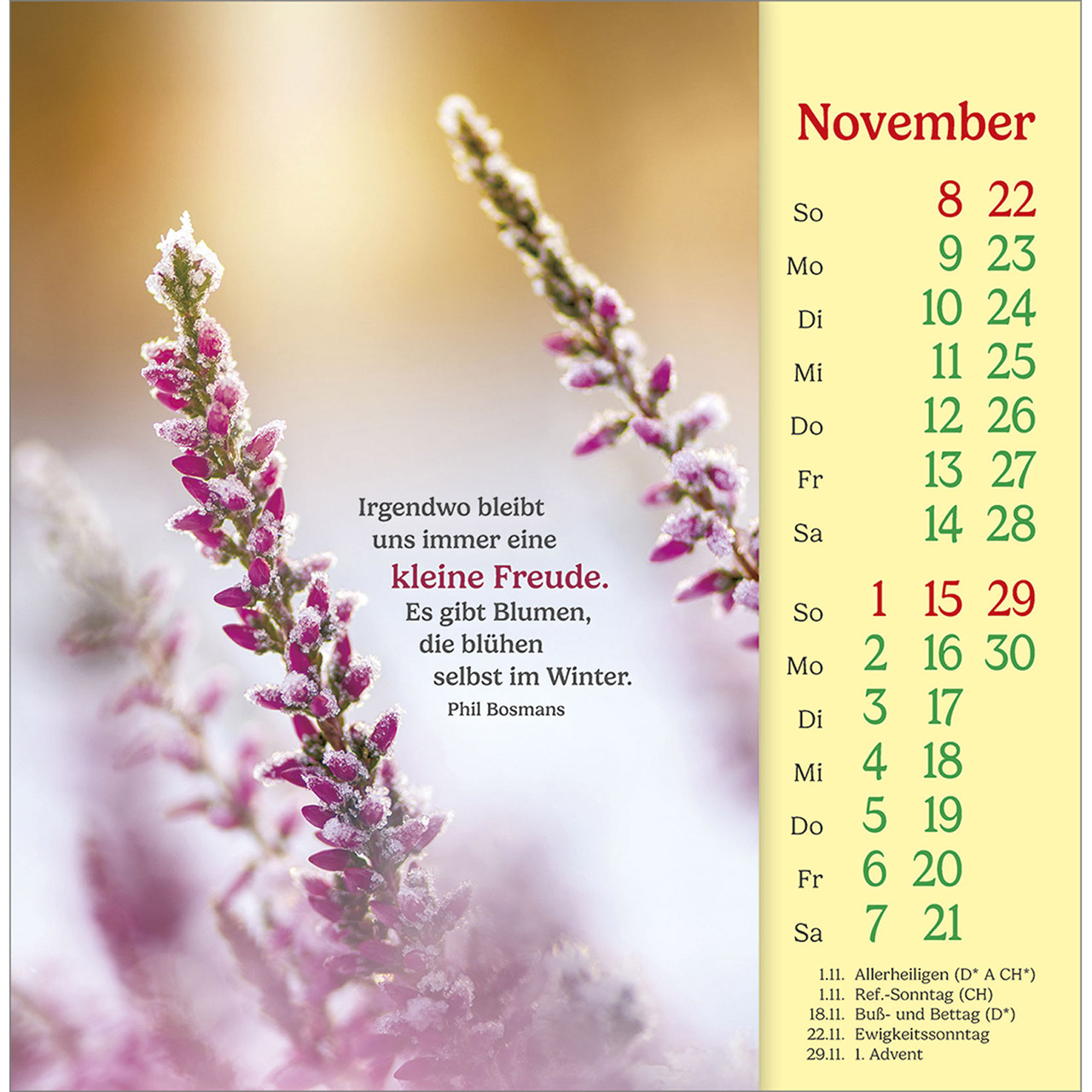 Postkartenkalender - Phil Bosmans - Postkarten-Kalender 2026