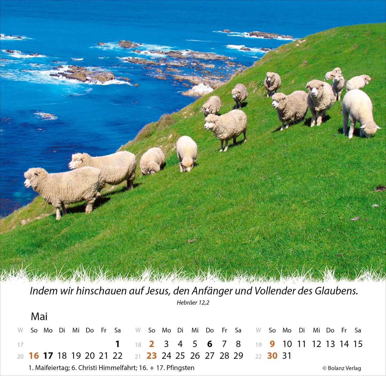 Tischkalender - Ein Leben für die Schafe 2027 Tischkalender
