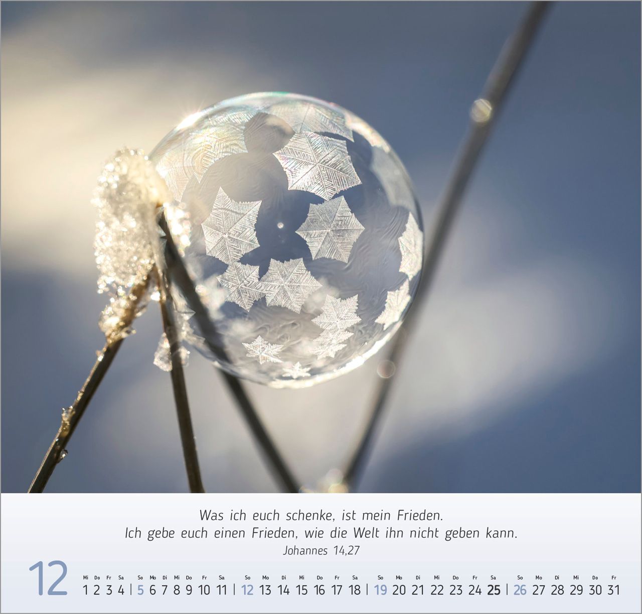 Wandkalender - Gesichter der Natur 2027