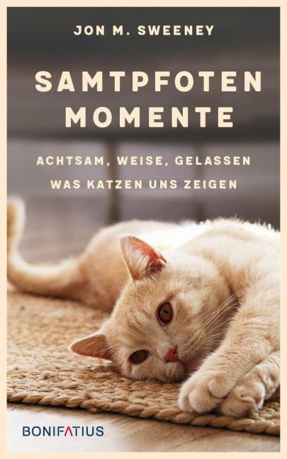 Samtpfoten Momente