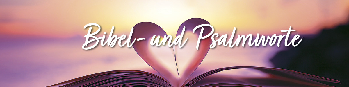 Kategorie-Banner