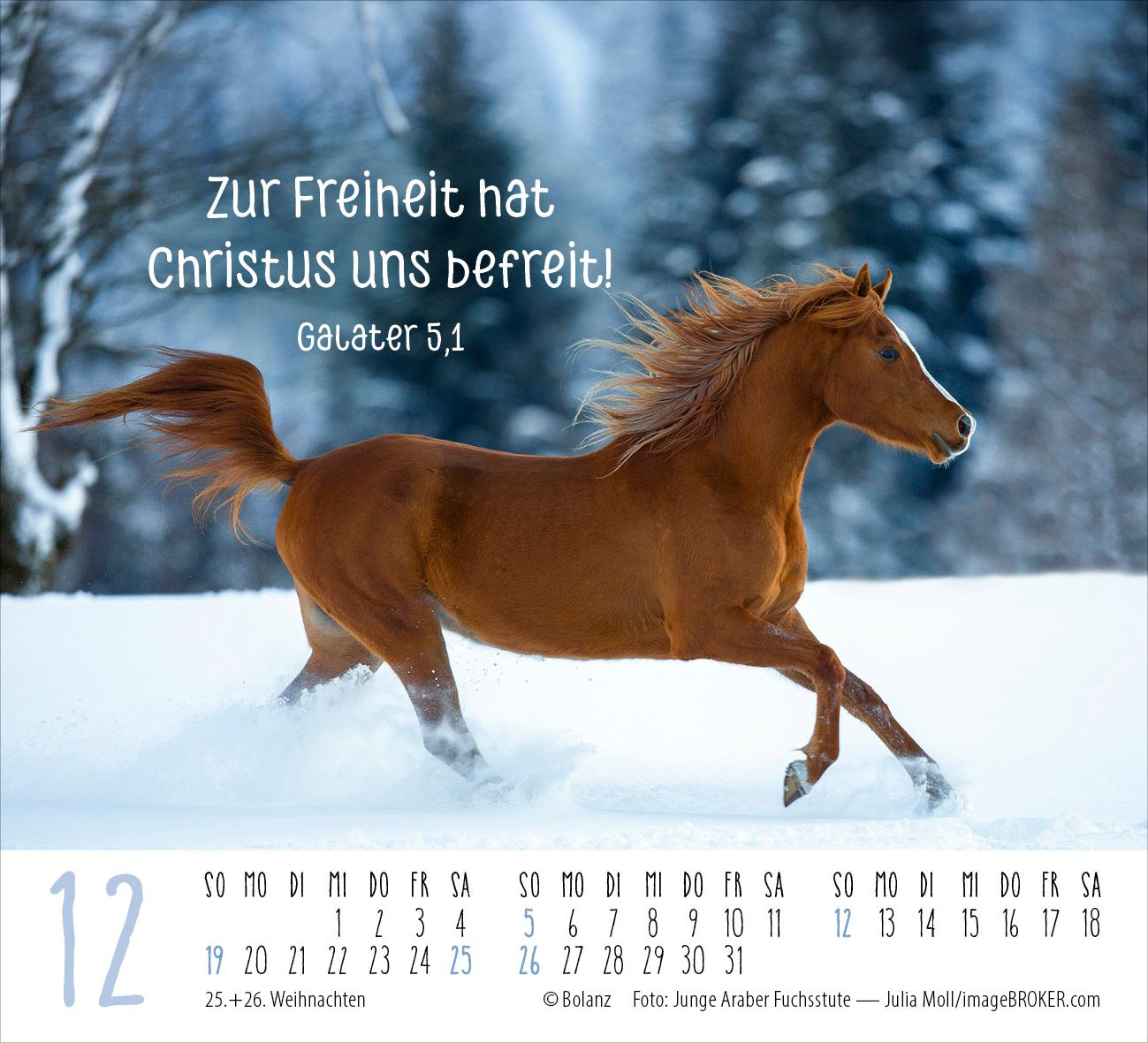 Aufstellkalender - Pferde 2027