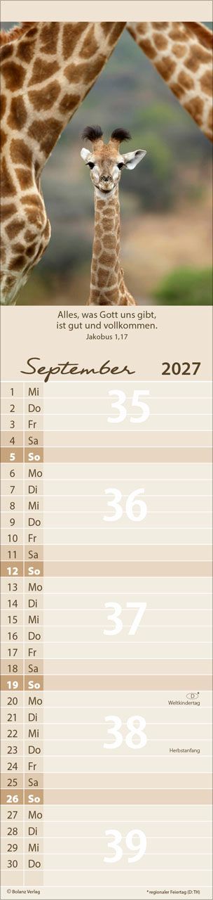 Terminkalender - Für Euch 2027 Streifenterminkalender