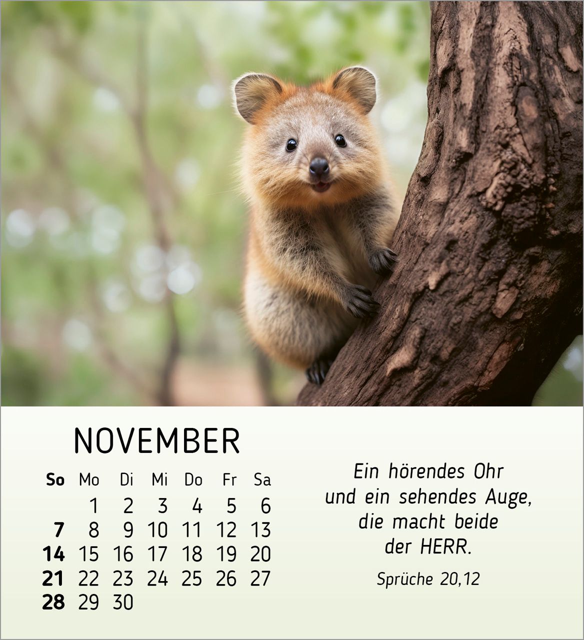 Tischkalender - Meine kleinen Freunde 2027