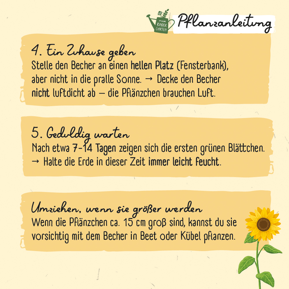 Saatgut - Meine erste Sonnenblume