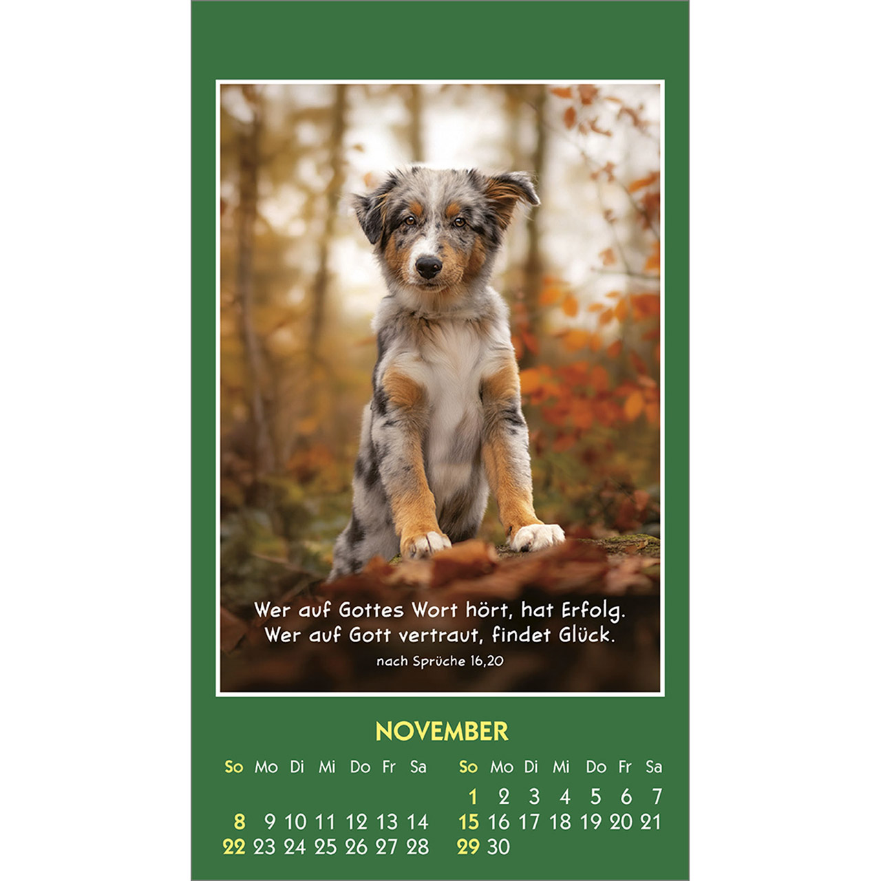 Aufkleberkalender - Hallo Du 2026 - Kaninchen Hase