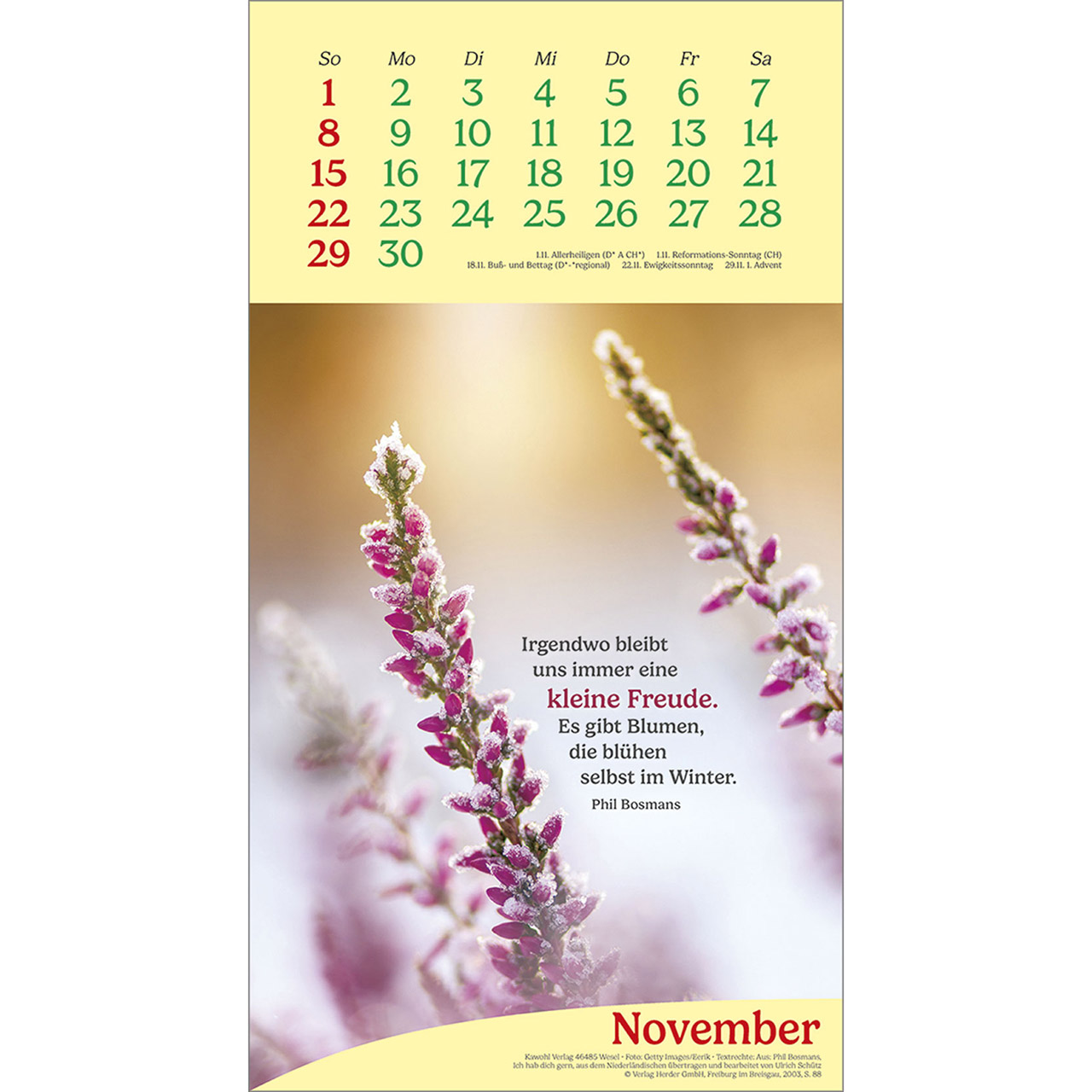 Wandkalender - Vitamine fürs Herz 2026