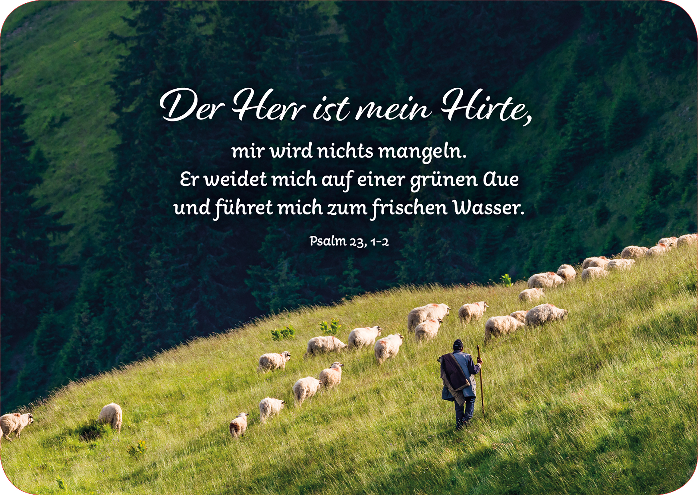 Postkarte 'Der Herr ist mein Hirte'