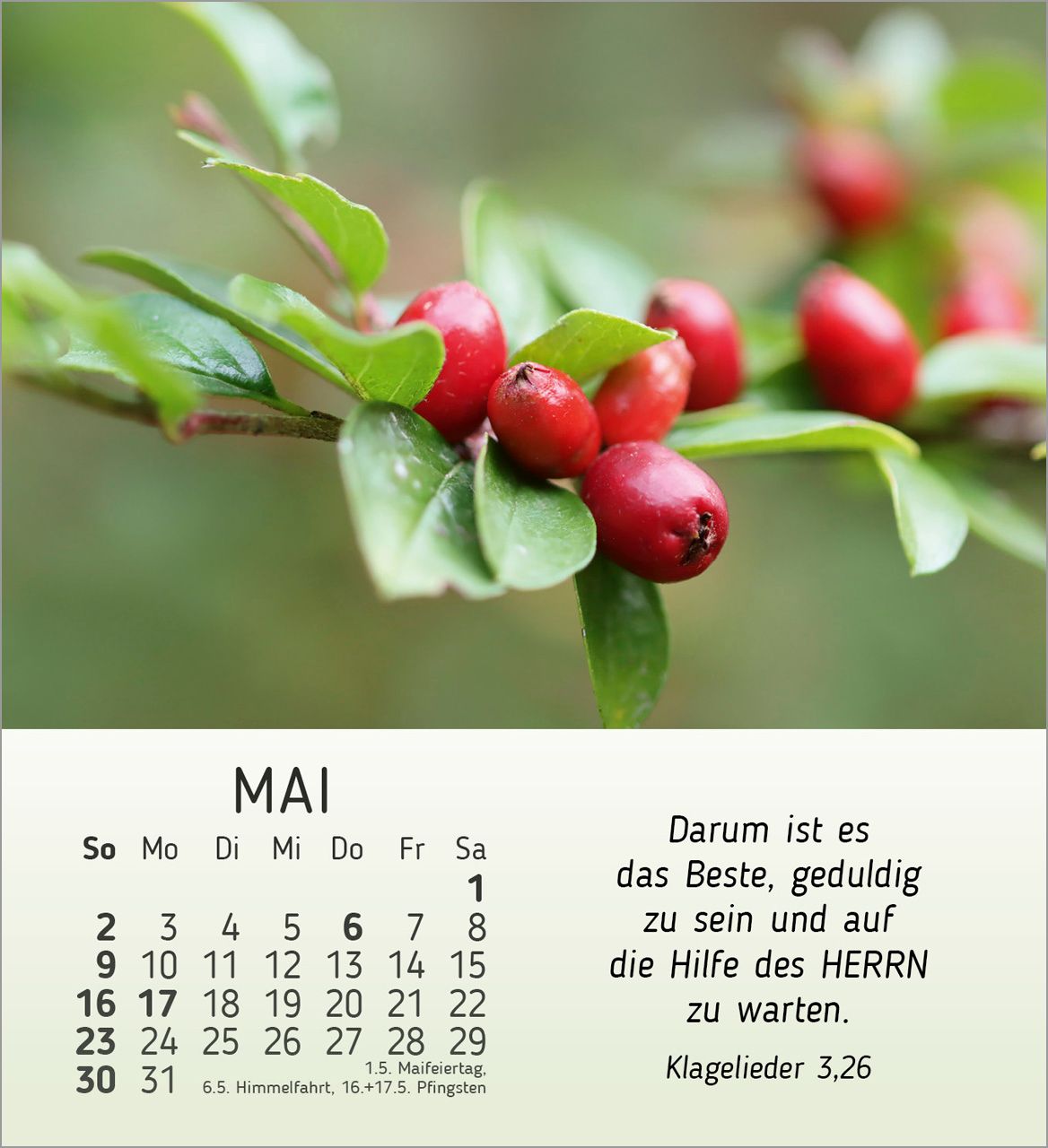 Tischkalender - Stille Begegnungen 2027