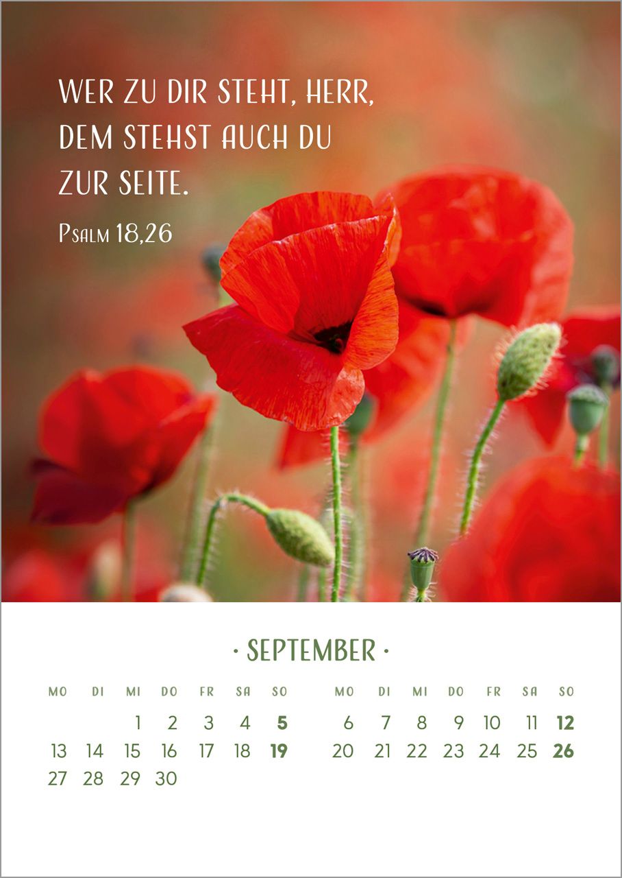 Tischkalender - Zarte Blumengrüße 2027