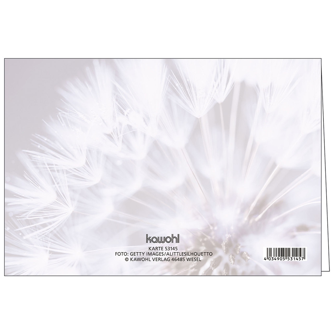 Faltkarte - Herzliche Anteilnahme - Pusteblume