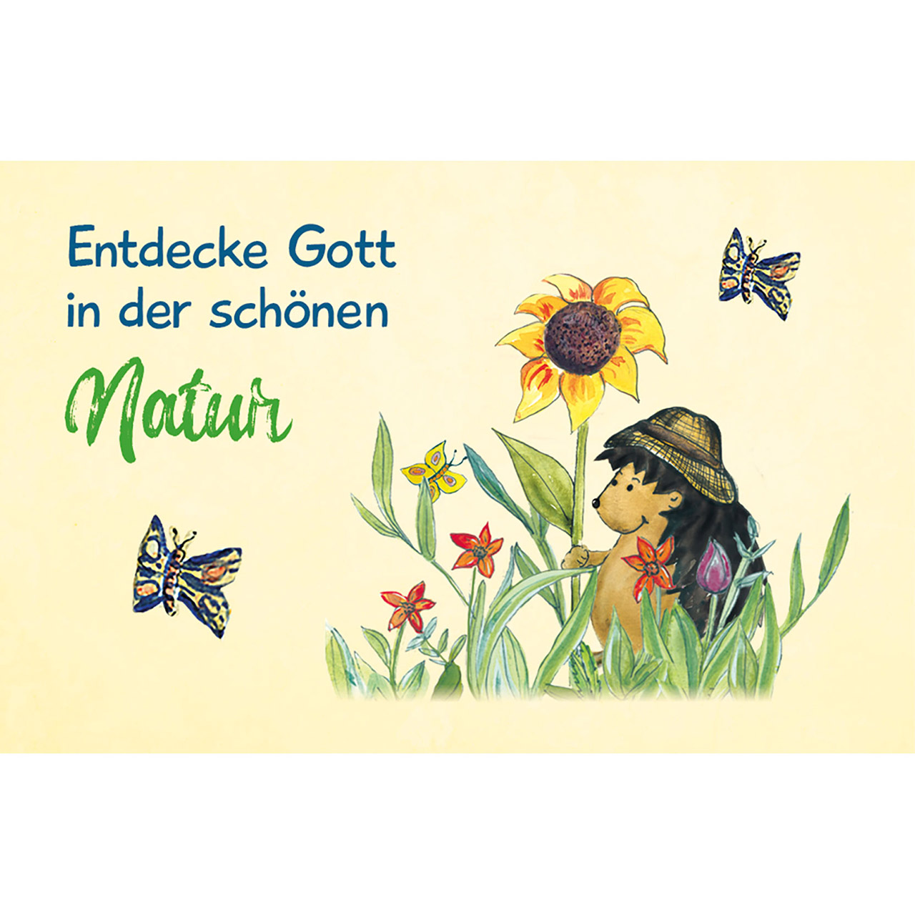Karten-Box Kunststoff - Entdecke Gottes Liebe - Bibel-Impulse für Kinder - Igel Sonnenblume Herz Schmetterling