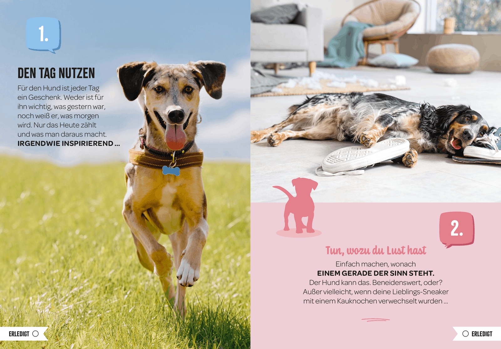 Geschenkbuch - 100 Dinge, die man von einem Hund lernen kann