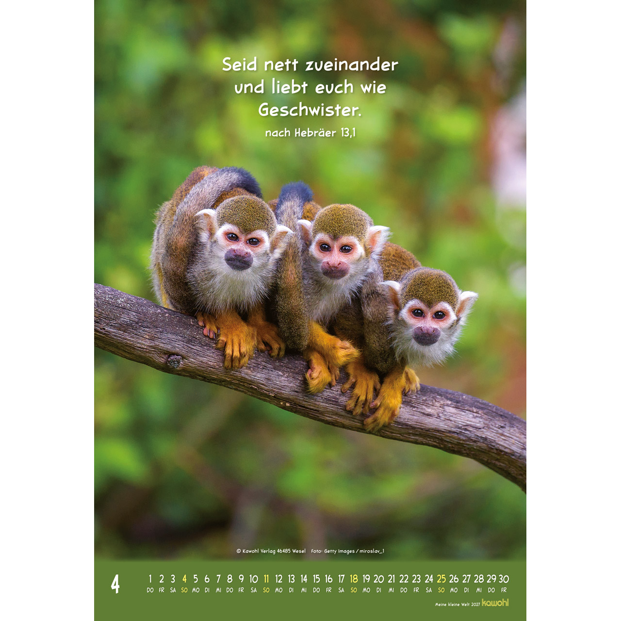 Wandkalender - Meine kleine Welt 2027