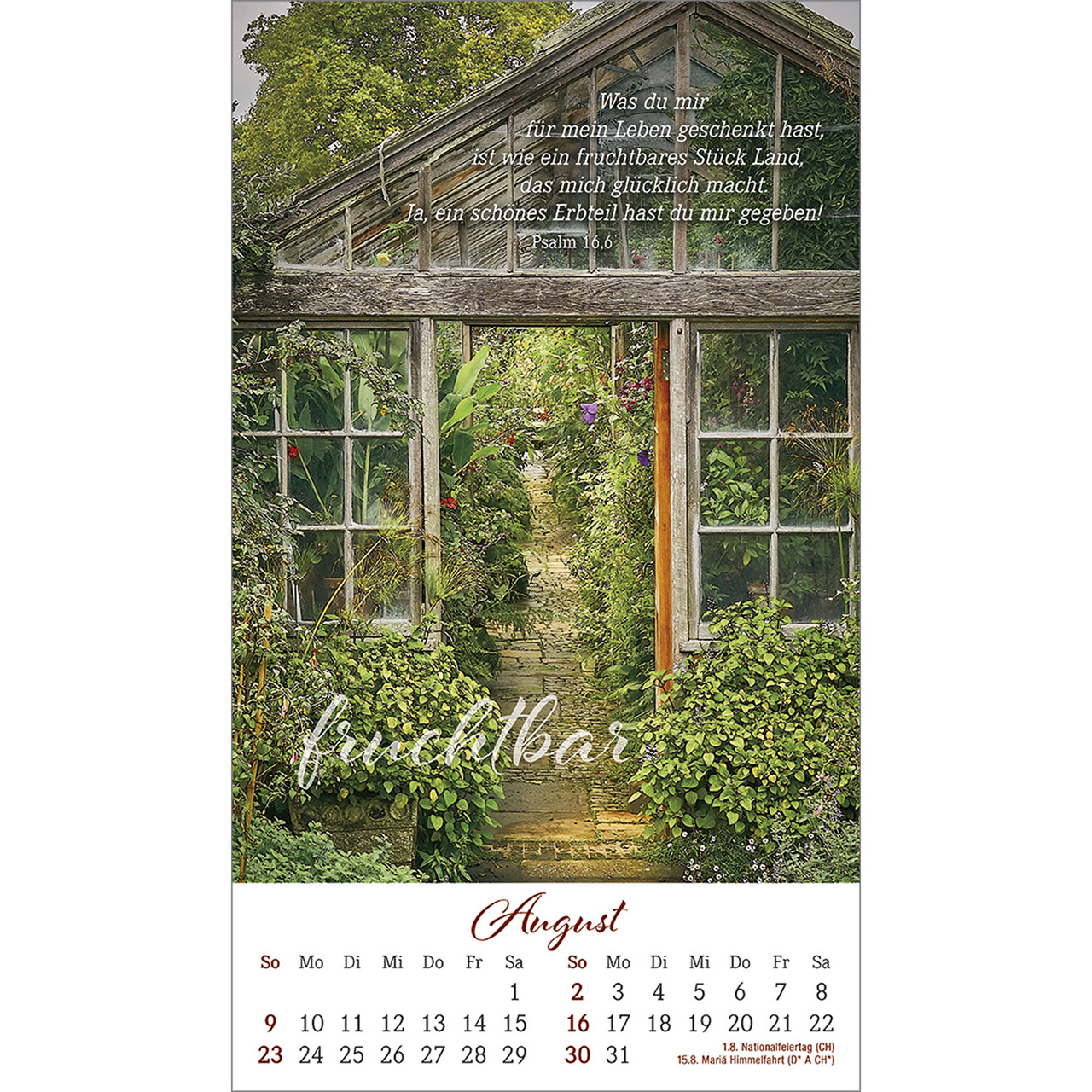 Postkartenkalender - Ein Augenblick für dich 2026