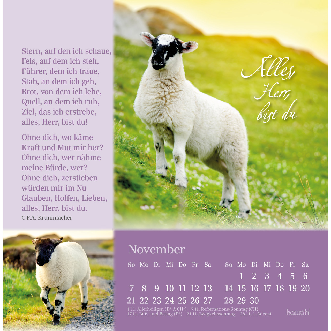 Postkartenkalender - Sei behütet und gesegnet 2027
