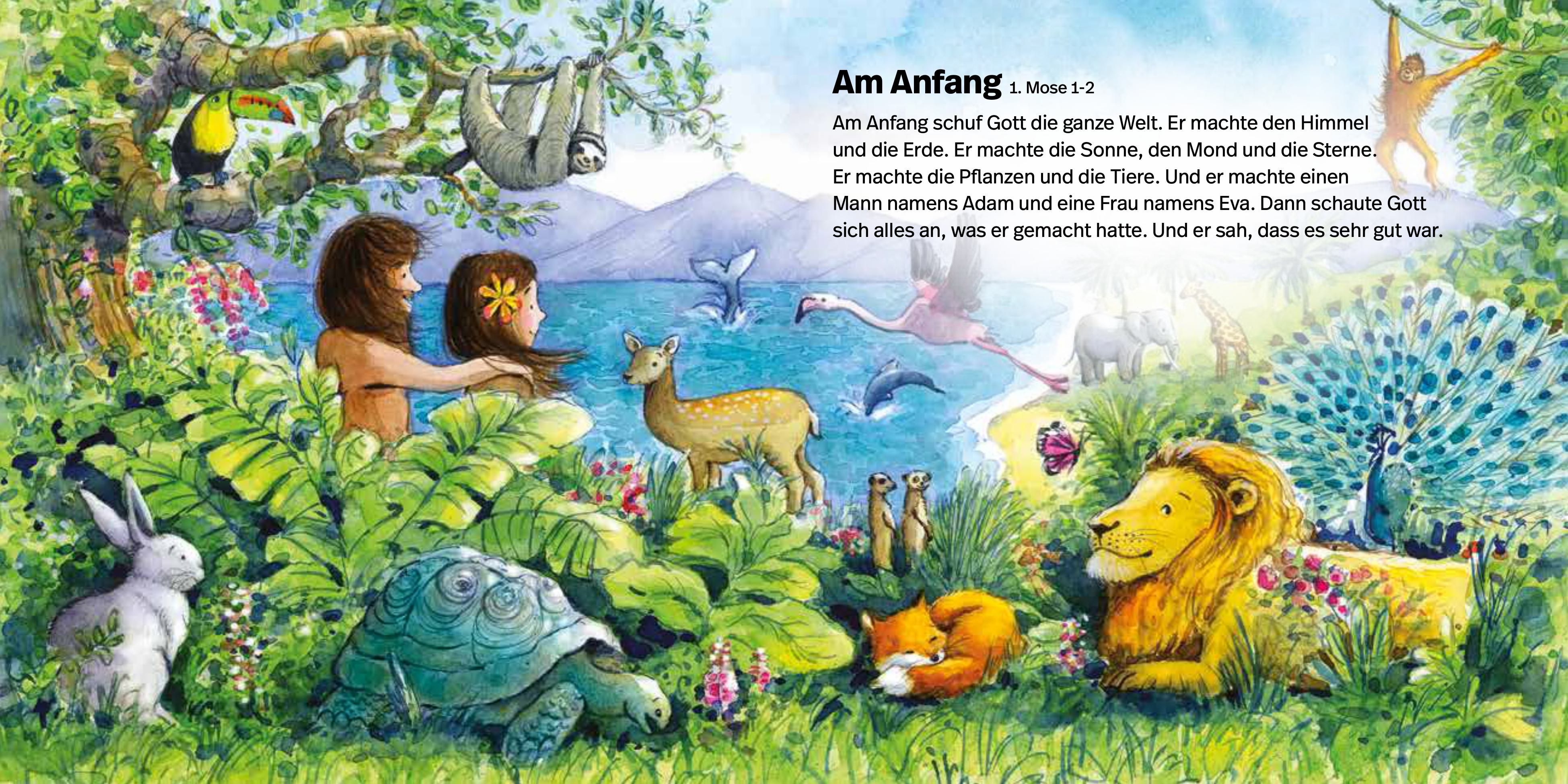 Kinderbibel - Meine liebste Kinderbibel