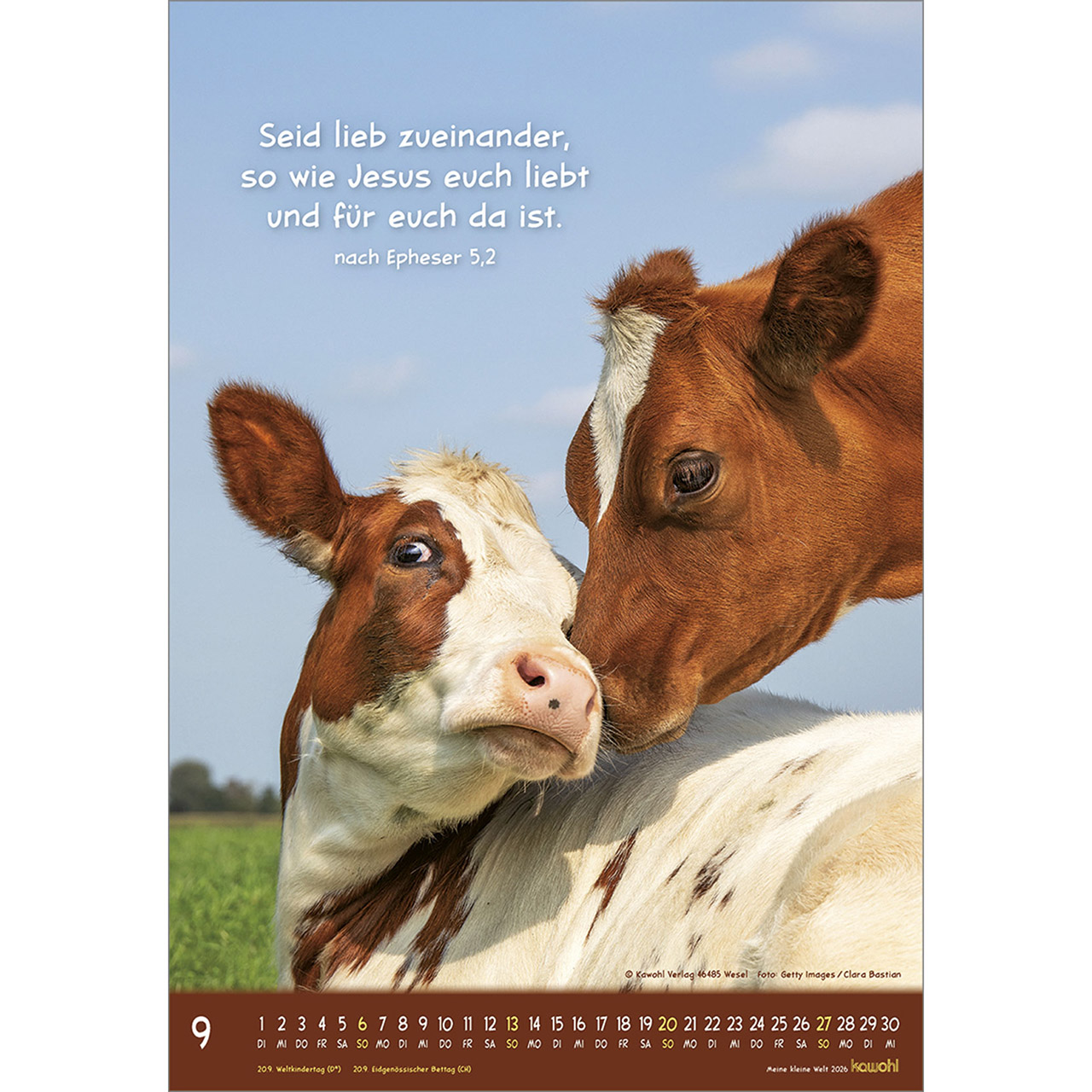 Wandkalender - Meine kleine Welt 2026