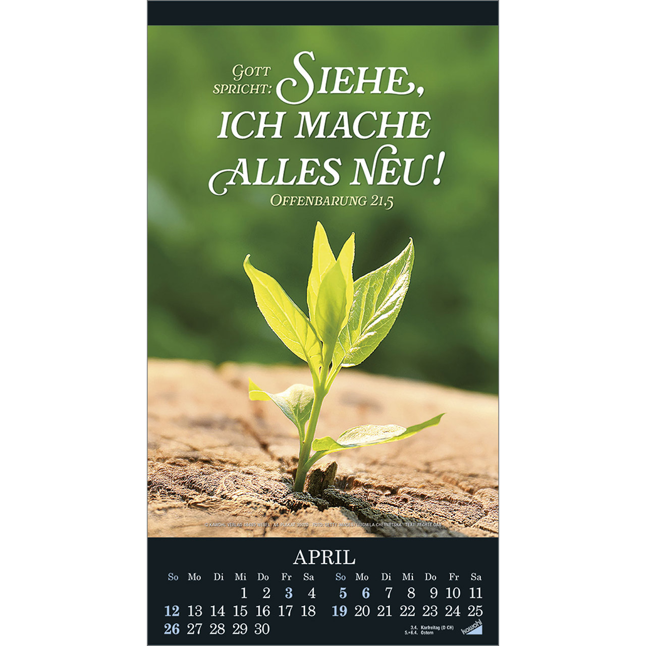 Wandkalender - Die Wunder deiner Werke 2026