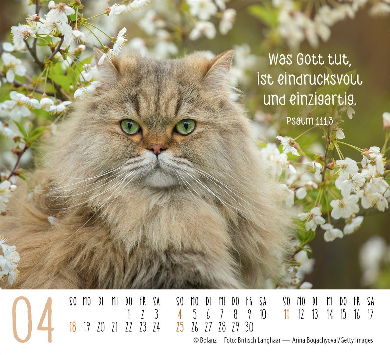 Aufstellkalender - Katzen 2027
