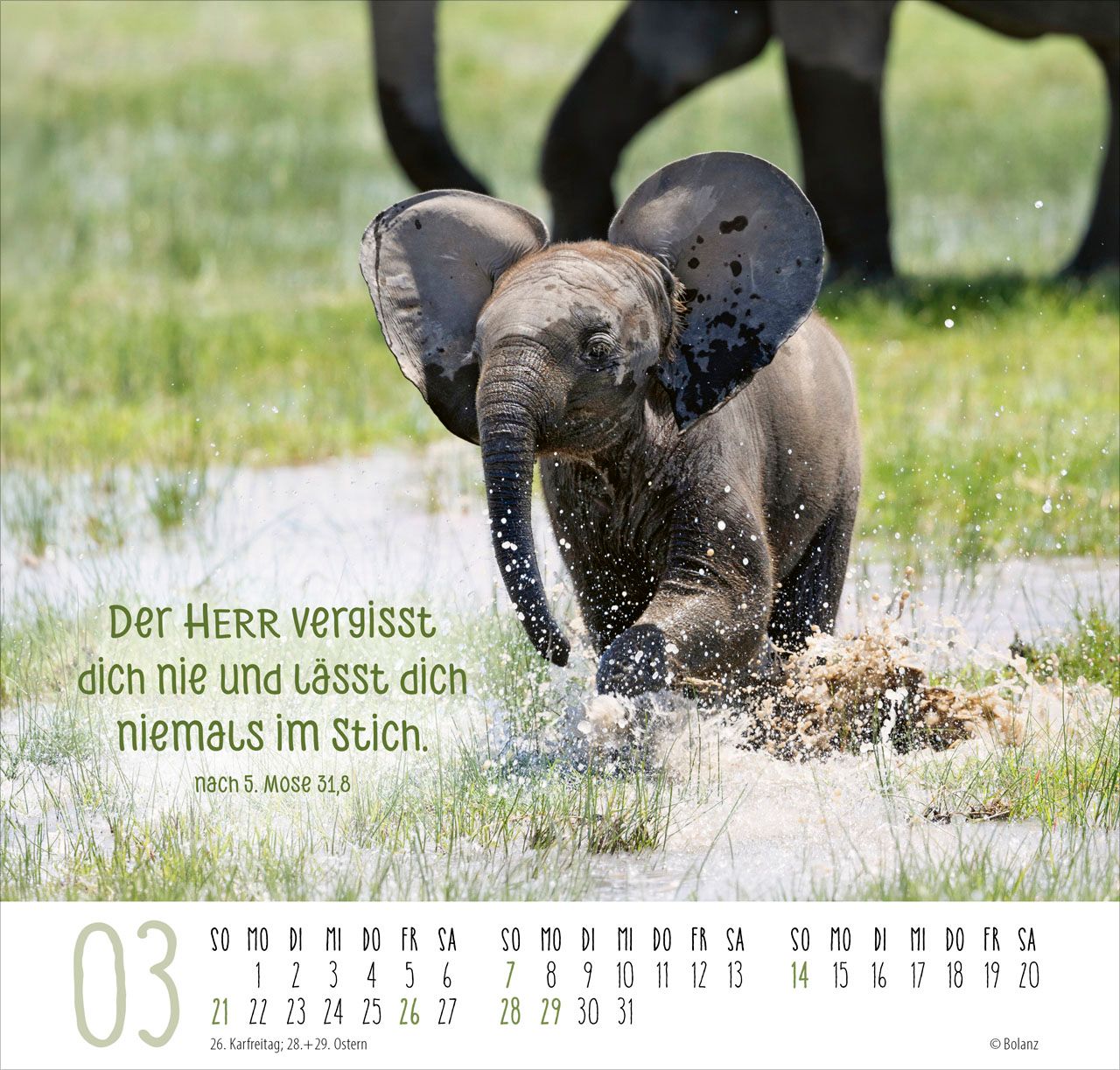 Posterkalender - Beste Freunde 2027