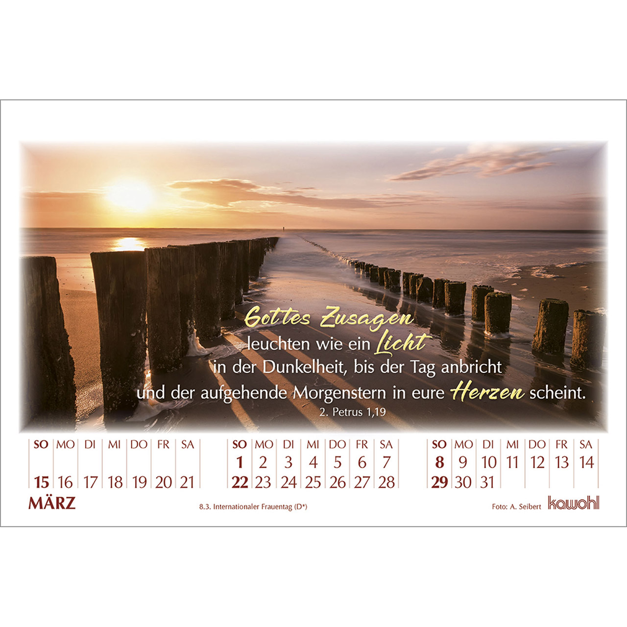 Tischkalender - In seinem Licht 2026