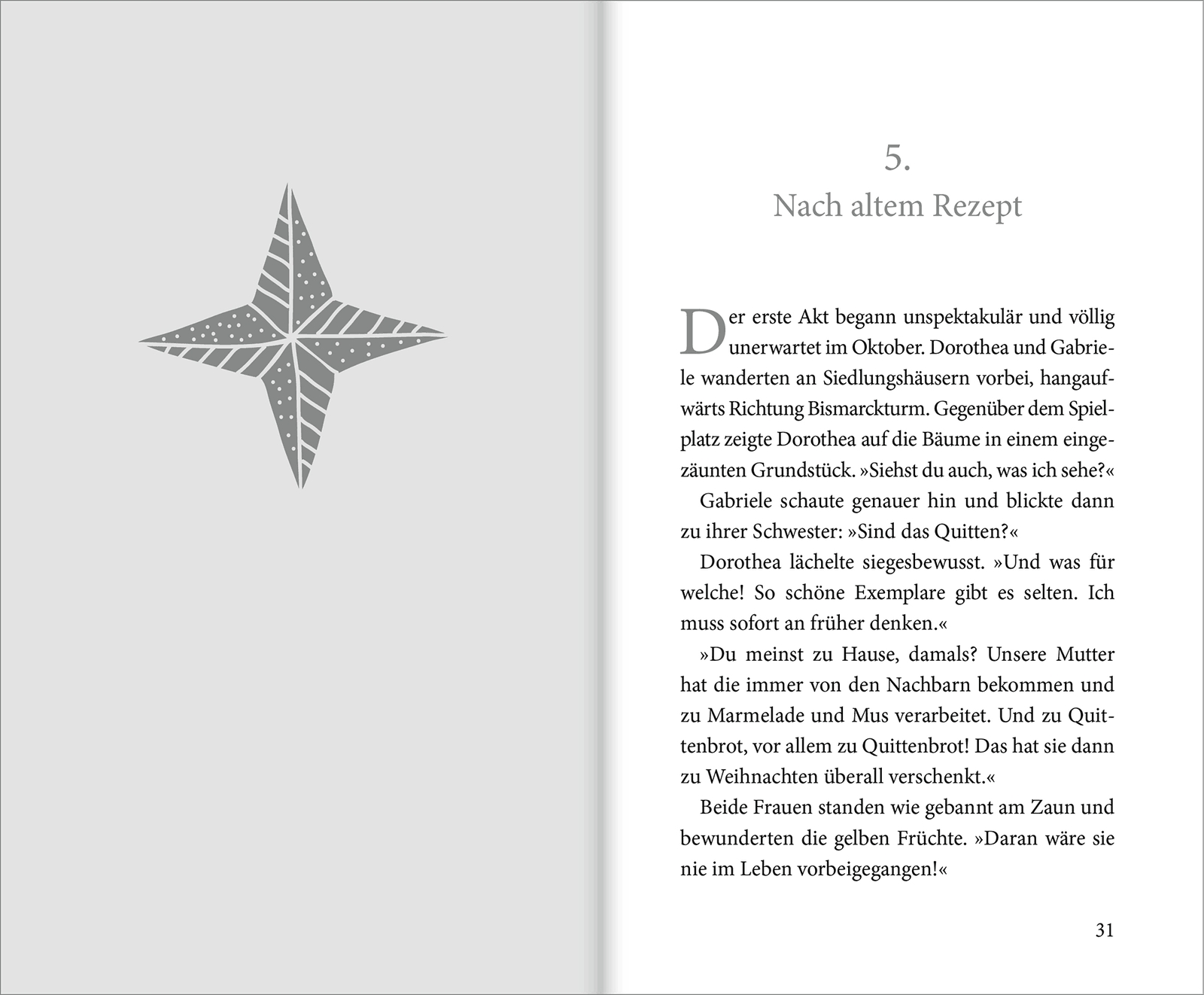 Buch - Hell leuchtet der Stern