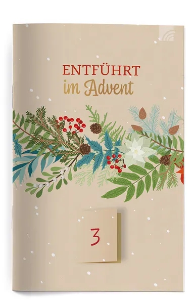 Buch - Entführt im Advent