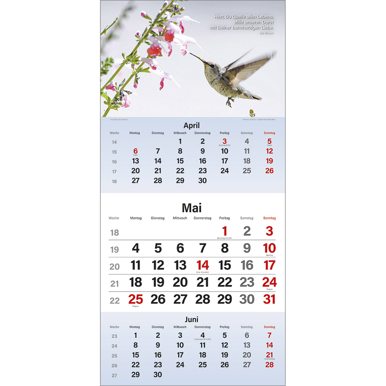 Terminkalender - Gott segne meinen Tag 2026