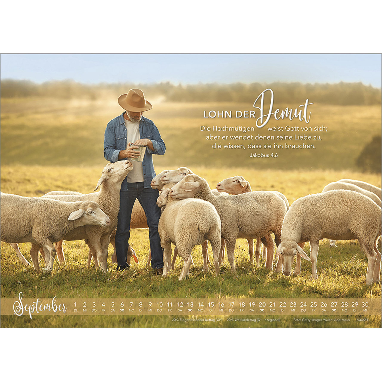 Wandkalender - Die Liebe bleibt 2026