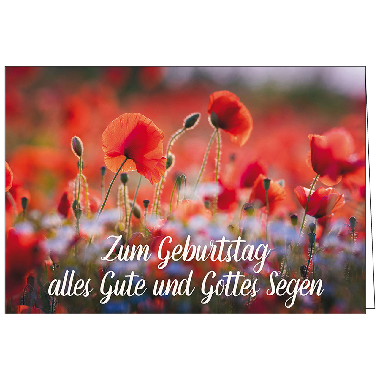 Zum Geburtstag alles Gute und Gottes Segen Faltkarte - Zum Geburtstag alles Gute und Gottes Segen - Mohnwiese Mohnblumen