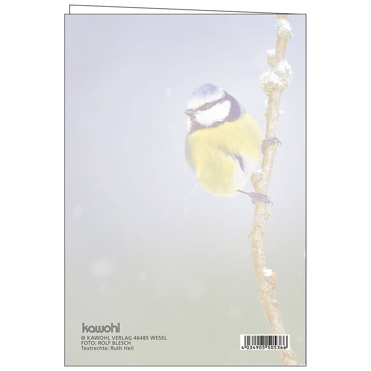 Faltkarte - Hab Vertrauen - Blaumeise Vogel